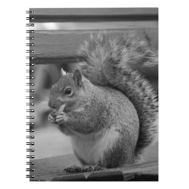 Carnet Écureuil (Devant)