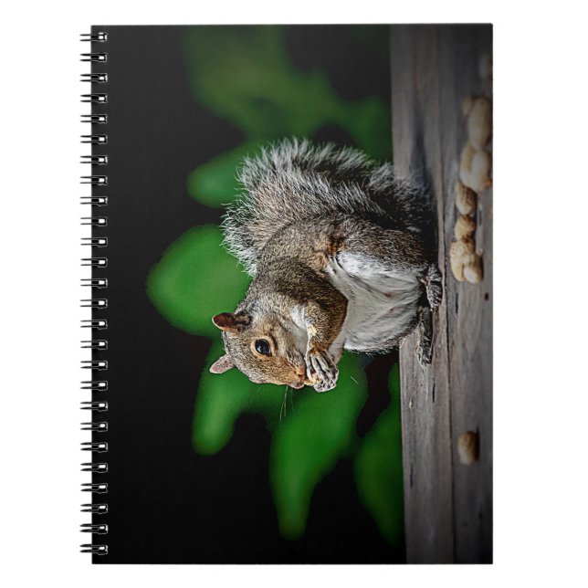 Carnet Écureuil aux cacahuètes (Devant)
