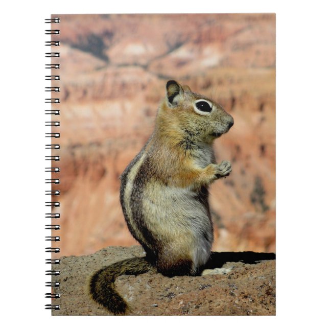 Carnet Écureuil de sol doré (Devant)