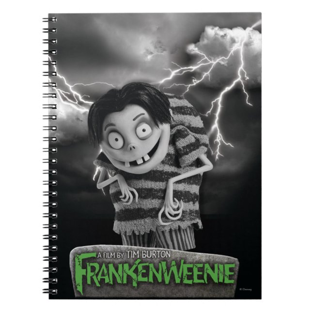 Carnet Edgar (Devant)