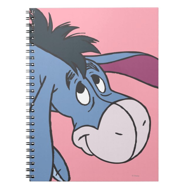 Carnet Eeyore 1 (Devant)