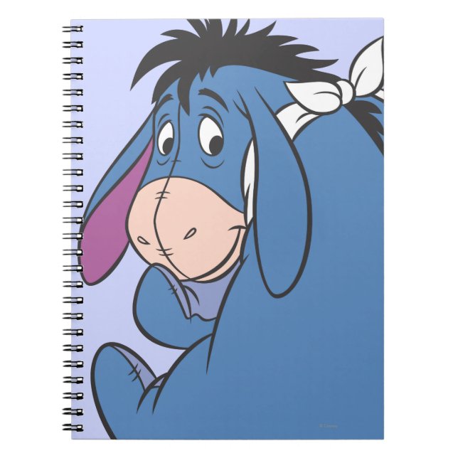 Carnet Eeyore 11 (Devant)