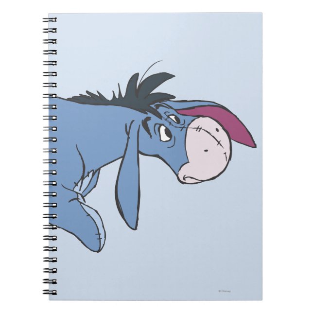 Carnet Eeyore 9 (Devant)