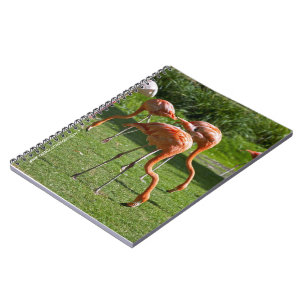 Carnet Effet de dessin de portrait de flamant rose Art
