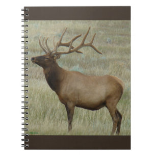 Carnet Élan mâle E8 en velours