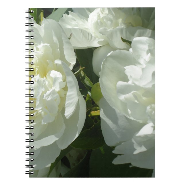 Carnet Elégant blanc peony floral blanc photo (Devant)