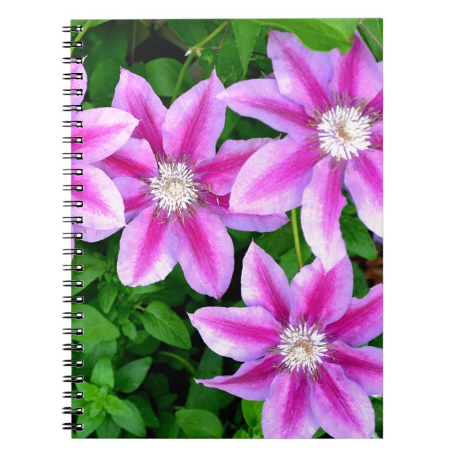 Carnet Élégant rose floral vert botanique (Devant)