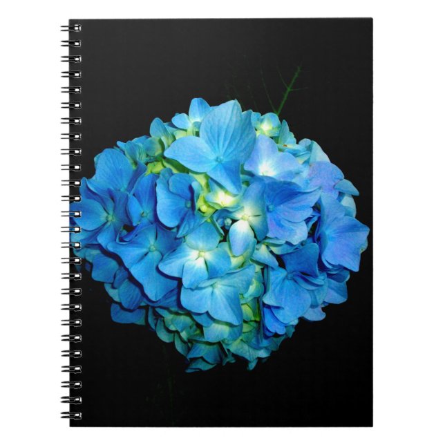 Carnet Elégante hydrangée fleurie bleue (Devant)