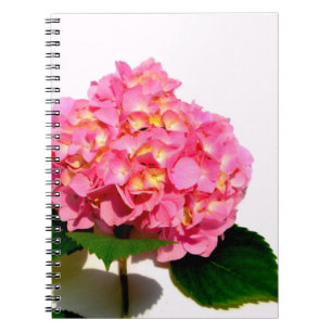 Carnet Elégante hydrangée rose fleurie rose