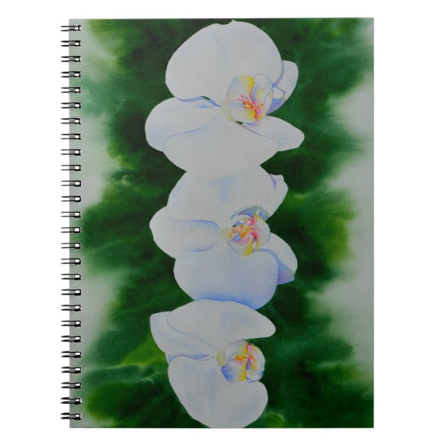 Carnet Elégante peinture d'orchidée tropicale blanche (Devant)