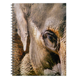 CARNET ÉLÉPHANT