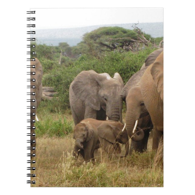 Carnet éléphant (Devant)