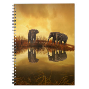 Carnet Eléphants asiatiques en Thaïlande sous un coucher 