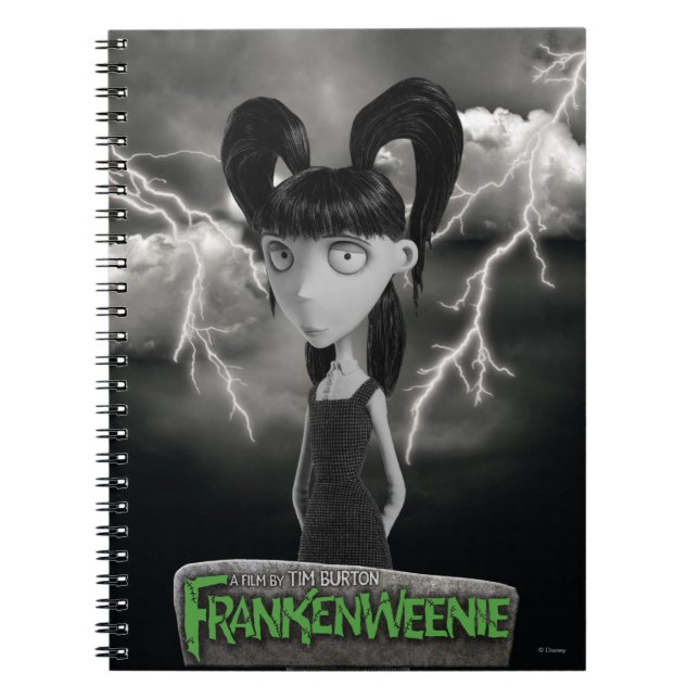 Carnet Elsa Van (Devant)