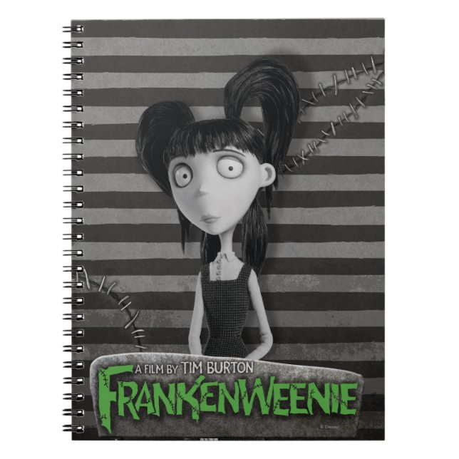 Carnet Elsa Van (Devant)