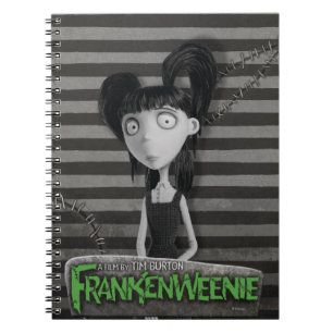 Carnet Elsa Van Helsing