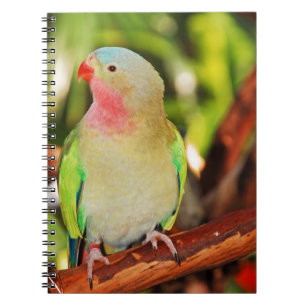 Carnet Empreinte verte princess parakee