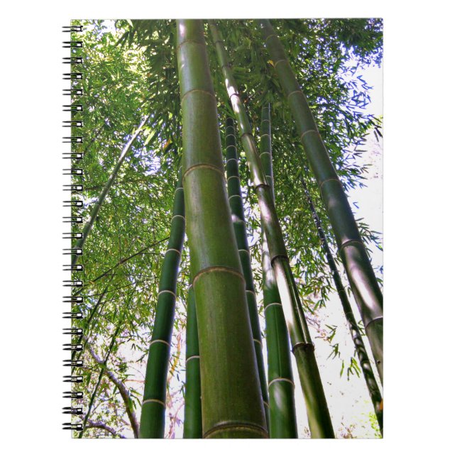 Carnet en bambou de forêt de jardin japonais (Devant)