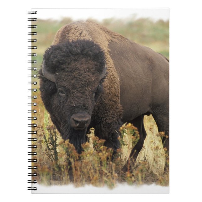 Carnet en bois de bison (Devant)