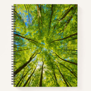 Carnet En regardant à travers les feuilles d'arbres verts
