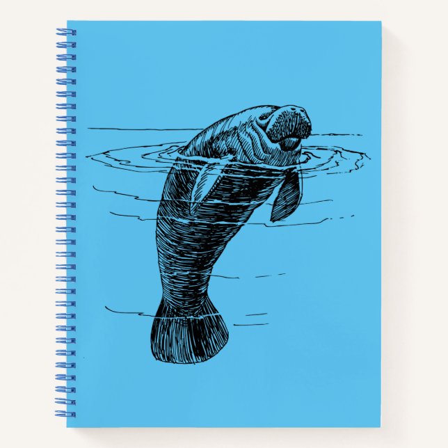 Carnet en spirale (Devant)