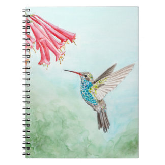 Carnet en spirale de colibri