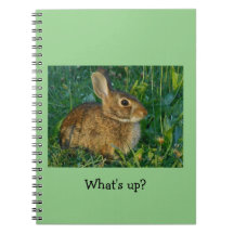 Carnet en spirale de photo de lapin