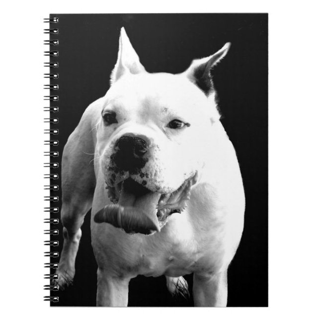 Carnet en spirale de White Boxer (Devant)