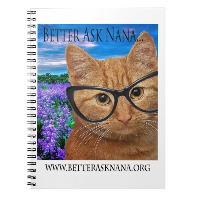 carnet en spirale mieux demander nana (Devant)