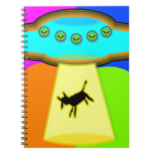 Carnet Enlèvement d'Aliens