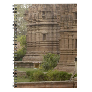 Carnet Entelles de Hanuman ou Langurs gris, communs ou à