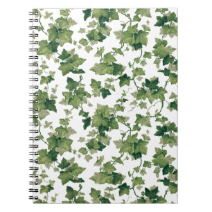 Carnet Escalade verte colorée Ivy