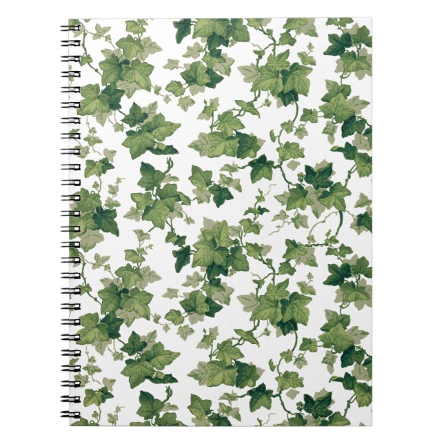 Carnet Escalade verte colorée Ivy (Devant)