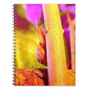Carnet Escargot