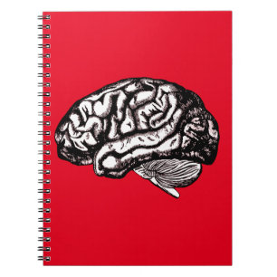 Carnet esprit humain