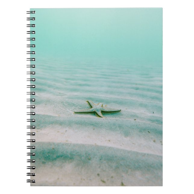 Carnet Estarfish blanche sur sable sous l'eau le matin (Devant)
