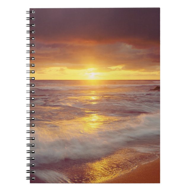 Carnet États-Unis, Californie, San Diego. Plage de Sunset (Devant)