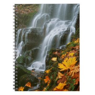 Carnet États-Unis, Oregon, Fairy Falls, Columbia River Go