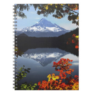 Carnet États-Unis, Oregon, Mt. Hood National Forest.