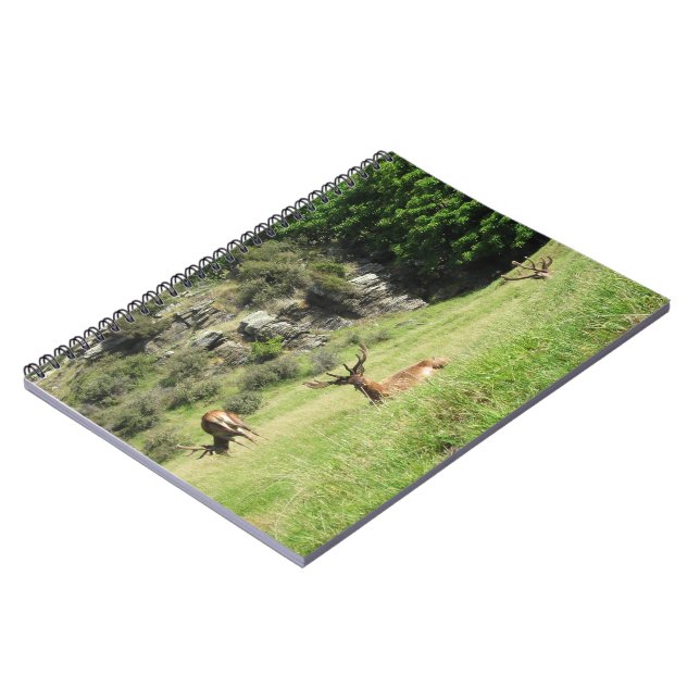 Carnet Étiquettes de la Nouvelle-Zélande (Côté gauche)