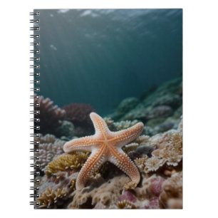 Carnet Étoiles de mer dans les profondeurs de la mer