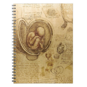 Carnet Étude du foetus de bébé par Leonardo da Vinci