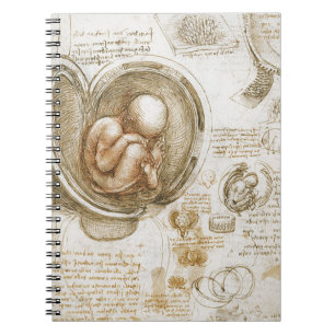 Carnet Études de Leonardo da Vinci du foetus dans