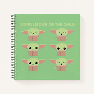 Carnet Expressions du tableau illustré de l'enfant