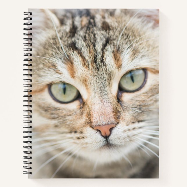 Carnet Face de chat (Devant)