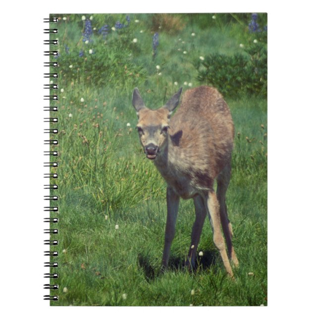 Carnet Faire face (Devant)
