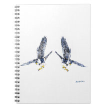 Falcons pèlerins