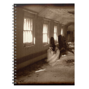 Carnet Falln Asylum Angel