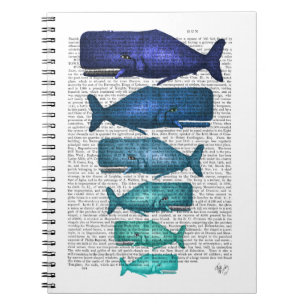 Carnet Famille de baleines bleues