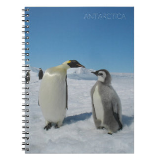Carnet famille des pingouins
